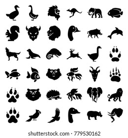 Wild icons. set of 36 editable filled wild icons such as animal paw, bear, lion, eagle, goose, deer, kangaroo, wolf, fish, chameleon, goat, dolphin, hog, hedgehog, elephant