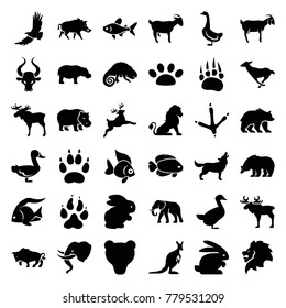 Wild icons. set of 36 editable filled wild icons such as rabbit, animal paw, lion, moose, fish, bear, footprint of  icobird, elephant, goose, goat, chameleon, hippopotamus