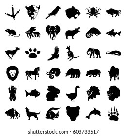 Wild icons set. set of 36 wild filled icons such as rabbit, animal paw, fish, lion, alligator, bear, hippopotamus, horse, octopus, panther, footprint of  icobird, mouse
