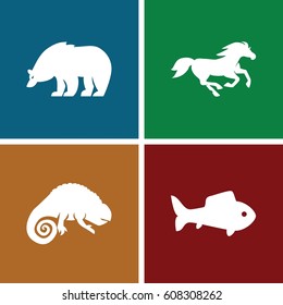 Wild icons set. set of 4 wild filled icons such as bear, horse, chameleon