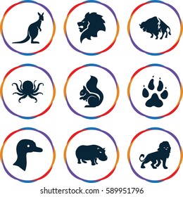 wild icons set. Set of 9 wild filled icons such as goose, animal paw, lion, octopus, buffalo, squirrel, hippopotamus