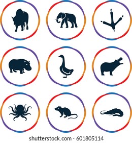 wild icons set. Set of 9 wild filled icons such as alligator, hippopotamus, octopus, footprint of  icobird, mouse, elephant, goose