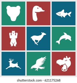Wild icons set. set of 9 wild filled icons such as hippopotamus, eagle, bear, fish, antelope, deer, goose