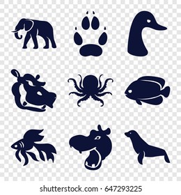 Wild icons set. set of 9 wild filled icons such as hippopotamus, octopus, goose, elephant, fish, animal paw