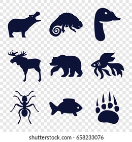 Wild icons set. set of 9 wild filled icons such as animal paw, moose, bear, hippopotamus, ant, chameleon, fish
