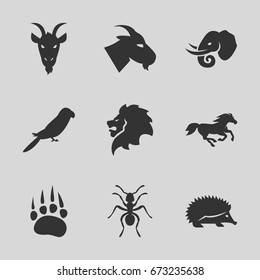 Wild icons set. set of 9 wild filled icons such as animal paw, lion, hedgehog, goat, parrot, ant, horse