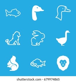 Wild icons set. set of 9 wild filled and outline icons such as lion, squirrel, goose, fish