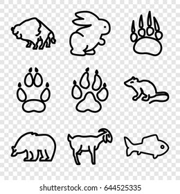 Wild icons set. set of 9 wild outline icons such as animal paw, bear, mouse, buffalo, goat, rabbit