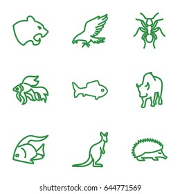 Wild icons set. set of 9 wild outline icons such as fish, eagle, hedgehog, panther, ant, cangaroo