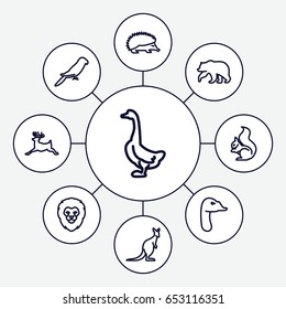 Wild icons set. set of 9 wild outline icons such as bear, lion, hedgehog, goose, squirrel, parrot, deer