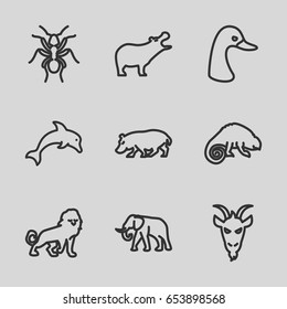 Wild icons set. set of 9 wild outline icons such as hippopotamus, lion, goose, elephant, ant, chameleon, goat
