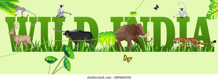 Wild india concept, panoramic banner vector illustration, animals and plants of nature of india.