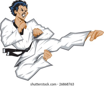 355 Taekwondo side kick Images, Stock Photos & Vectors | Shutterstock