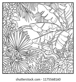 Wild jungle with big banana palm leaves black contour line drawing for coloring on a white background