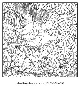 Wild jungle with big palm leaves black contour line drawing for coloring on a white background