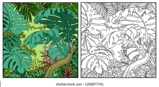 Wild jungle with big palm leaves and branch color and black contour line drawing for coloring on a white background