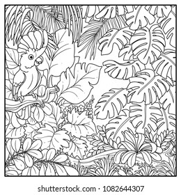 Wild jungle with cockatoo alba parrot perched on branch black contour line drawing for coloring on a white background