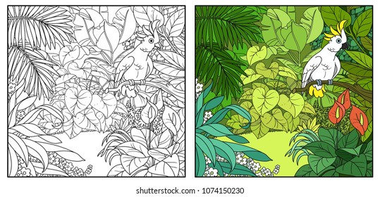 Wild jungle with cockatoo parrot perched on branch color and black contour line drawing for coloring on a white background