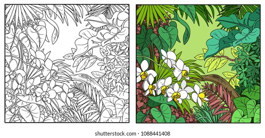 Wild jungle color and black contour line drawing for coloring on a white background