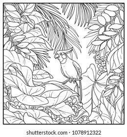 Wild jungle with corella parrot perched on branch black contour line drawing for coloring on a white background