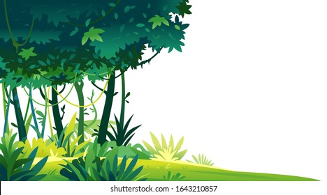 Wild jungle forest with trees, bushes and lianas on white background, decorative template composition of jungle plants, dense vegetation of the jungle, topical forest plants