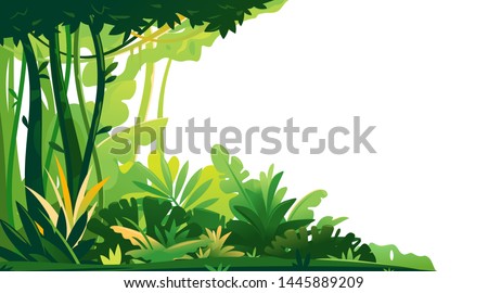 Wild jungle forest with trees, bushes and lianas on white background, decorative composition of jungle plants on one side, dense vegetation of the jungle, beginning of the topical forest