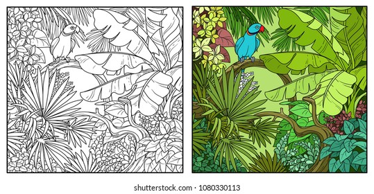 Wild jungle with Indian ringed parrot perched on branch color and black contour line drawing for coloring on a white background