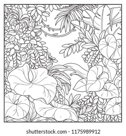 Wild jungle with lianas black contour line drawing for coloring on a white background