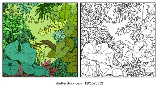 Wild jungle with lianas color and black contour line drawing for coloring on a white background