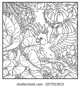 Wild jungle with Major Mitchell's Cockatoo opens wings black contour line drawing for coloring on a white background