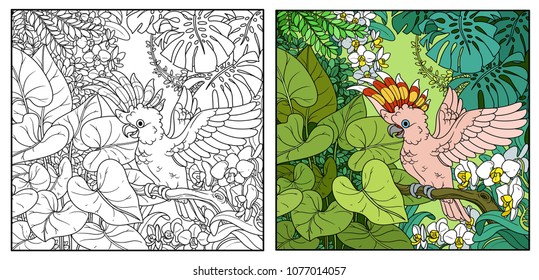 Wild jungle with Major Mitchell's Cockatoo opens wings color and black contour line drawing for coloring on a white background