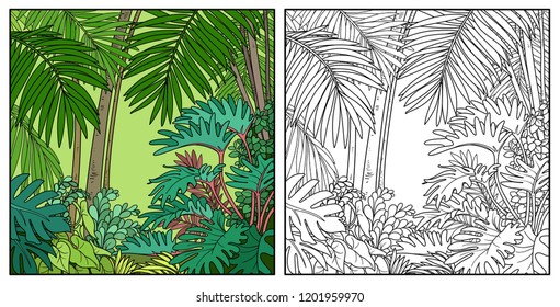 Wild jungle with palms color and black contour line drawing for coloring on a white background