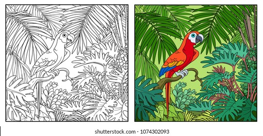 Wild jungle with parrot of macaw sit on branch color and black contour line drawing for coloring on a white background