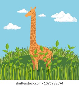 wild in the jungle scene