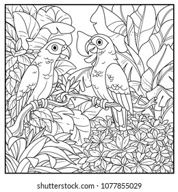 Wild jungle with two parakeets red-tailed Jaco perched on branch black contour line drawing for coloring on a white background