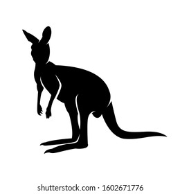 wild kangaroo animal vector silhouette
