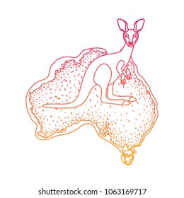 wild kangaroo over australian map