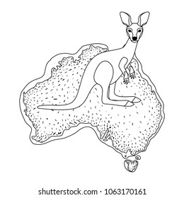 wild kangaroo over australian map