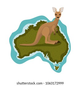 wild kangaroo over australian map