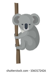 wild koala australian creature hanging in tree