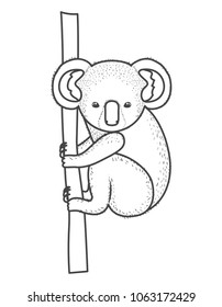 wild koala australian creature hanging in tree