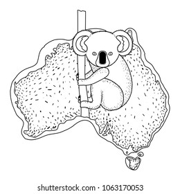 wild koala creature over australian map