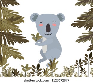 wild koala in the jungle scene