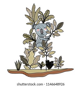 wild koala in the jungle scene