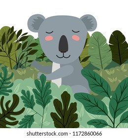 wild koala in the jungle scene