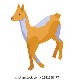 Wild lama icon isometric vector. Cool baby. Cute animal