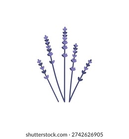 Wild Lavender Stems Asymmetrical Modern Flat Icon