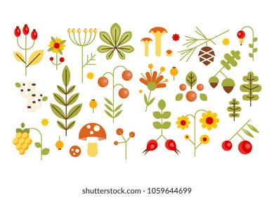 Wild leaves, berries and mushrooms set, forest elements concept vector illustrations