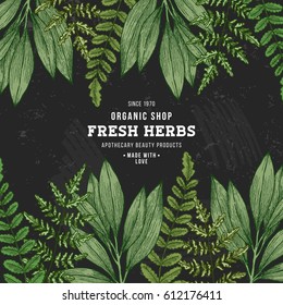 Wild leaves design template. Vintage floral tropical background. Vector illustration