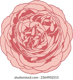 Wild Lemonade Roses Isolated Vector Illustration 
